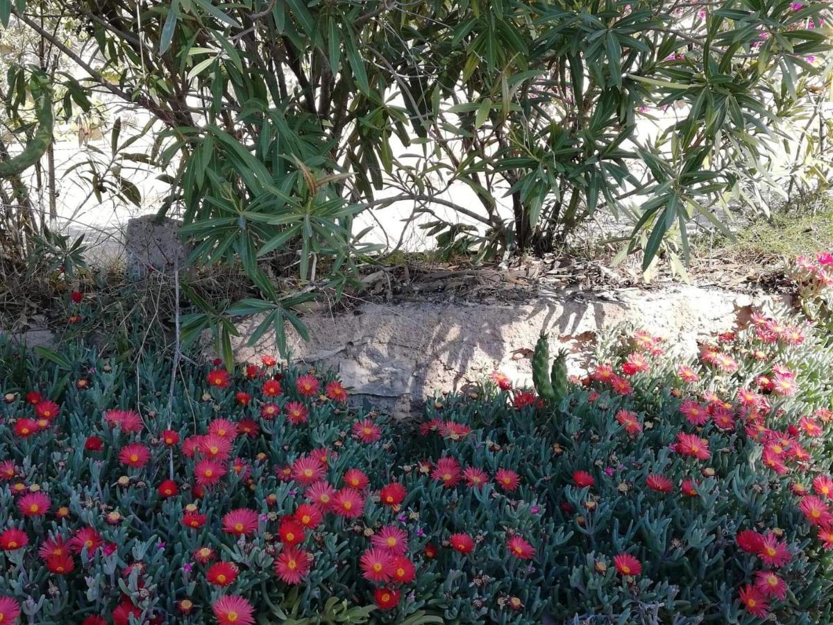 Perfect For Exploring Local Areas And More Torrevieja Exterior foto